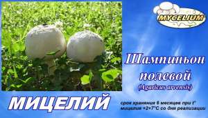 Мицелий для выращивания шампиньона полевого на открытых участках и в помещении, в домашних условиях и на приусадебных участках - объявление