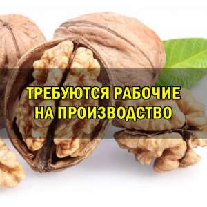 На переработку грецкого ореха требуются сотрудники. - объявление