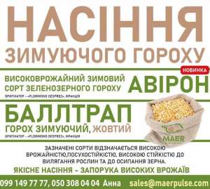 Насіння озимого гороху Авірон, Баллтрап - объявление