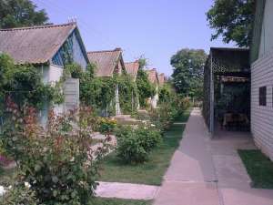 Не дорогой семейный отдых! - оголошення