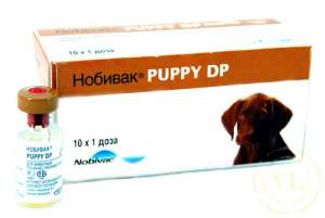 Нобивак Puppy DP, 1 фл. (1 доза) + растворитель 1 фл. - оголошення