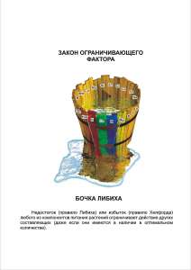 Новоферт удобрения кальциевая селитра