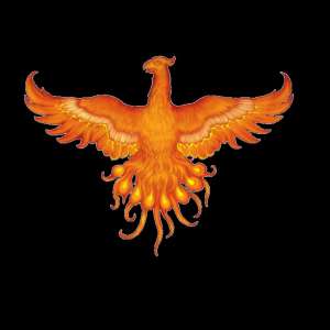 ООО с ндс, Шевченковский район. 2007 года ндс - оголошення