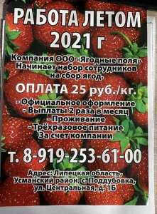 ООО«Ягодные поля» начинает набор сотрудников для сбора клубники. - объявление