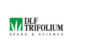 ОПТОВАЯ ЦЕНА Семена газонной травы DLF Trifolium - оголошення