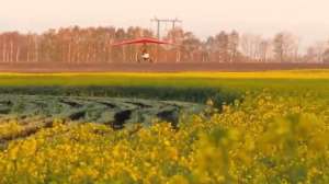 Обприскування ріпаку дельтапланом - объявление