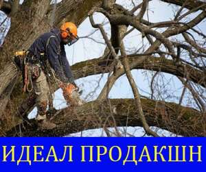 Обрезка веток, кронирование Одесса - объявление