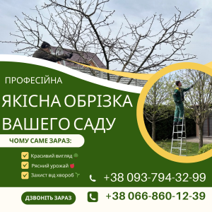 Обрізка дерев, стрижка огорож, спил дерев - объявление
