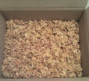 Орехи грецкие ОПТ, Экспорт - объявление