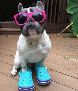 Оригинальные Crocs - объявление