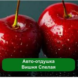 Отдушки для авто опт и розница - объявление
