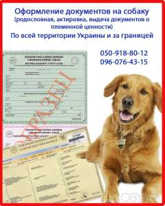 Оформити родовід на собаку. Оформлення посліду, Харків