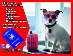 Оформление вет документов для вывоз собаки из Украины в Европу - объявление