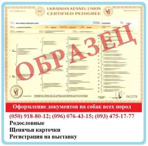 Оформление документов на собак. Щенячьи карточки, Родословные. Клуб - оголошення
