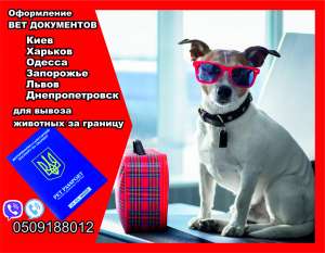 Оформлення документів для вивезення собаки з України до Європи - объявление