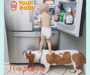 Патронаж новонароджених і дітей раннього віку в Your Family - объявление