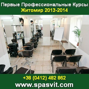 Первые Профессиональные Курсы 2013/2014 Житомир - объявление