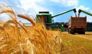 Перевезення зерна і зернових вантажів по Україні - объявление
