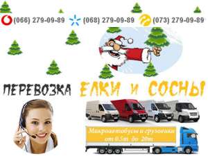 Перевезти елку (сосну) Киев - объявление