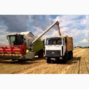 Перевозка зерна по Украине. Услуги зерновозов.