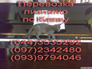 Перевозка пианино,рояля в Киеве и Киевской области.Бровары - оголошення