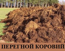 Перегной коровий. Доставка самосвалами. Навалом-насыпью. 5-10-20 тонн. - объявление