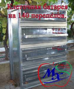 Перепелиные клетки для личного хозяйства