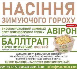 Посівний матеріал зимуючого гороху Баллтрап, Авірон - объявление