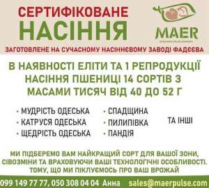 Посівний матеріал пшениці, сертифіковане насіння пшениці - объявление
