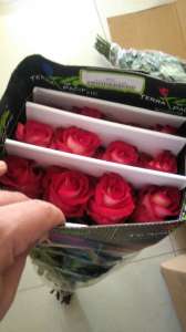 Предлагаем Голландскую розу Mondial Оптом напямую от производителя от 1 Коробки. - оголошення