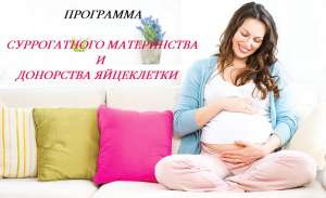 Программа Суррогатного материнства Киев. Донорство яйцеклетки Киев - объявление