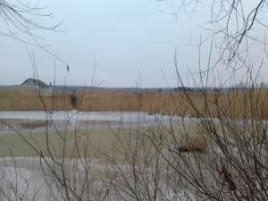 Продается Дом, Харьковская обл. - оголошення