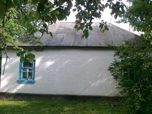 Продается дом в Черниговской обл. село Селище - оголошення