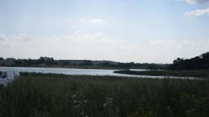 Продается земельный участок 2 га (земли сельхозназначения)в с.Новопетровское Истринского района М.О.