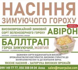 Продаж насіння озимого гороху Баллтрап, Авірон - объявление