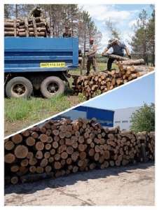 Продаж пеллетів для опалення, брикетів, дров Одеса. - объявление