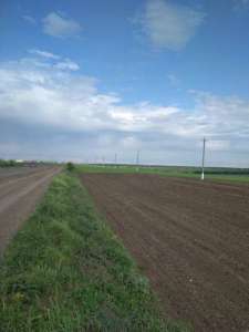Продажа земли ОСГ в Лозовском р-не Харьковской обл - объявление