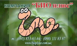 Продажа маточного поголовья технологических червей для биогумуса и для рыбалки - объявление