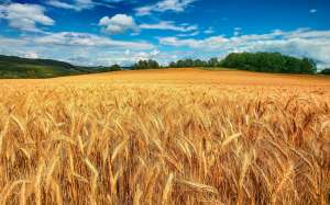Продам 15000 га с/г землі - объявление