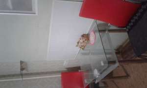 Продам 1-но комн. кварт., Песочин Мобиль, улучшенной планировки - оголошення