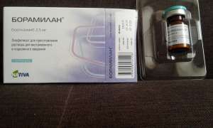 Продам Борамилан 2,5 - объявление