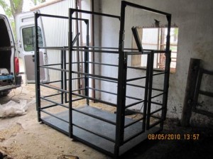 Продам Весы для крупного рогатого скота - объявление