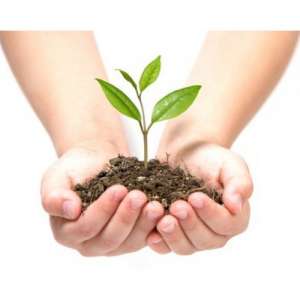 Продам ||| Сульфат магнію Китай. ДНІПРО. MgO - 16,7%, S - 13,3% - оголошення