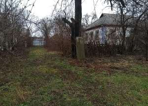 Продам будинок в с.Росава (2 км від м.Миронівка) - оголошення