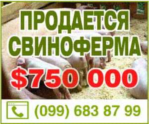 Продам действующий свинокомплекс 2700 кв.м. с. Покровское - объявление