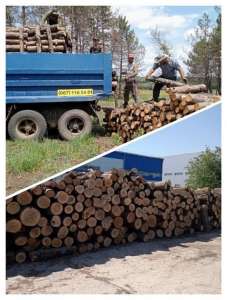 Продам дрова твердых пород, уголь Одесса. - оголошення