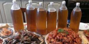 Продам живых речковых раков (разных размеров) - оголошення