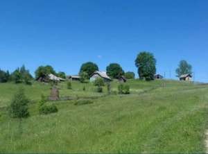 Продам житловий будинок в гірській місцевості Буковини - объявление