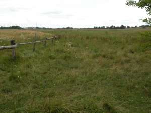 Продам земельный участок. Н. Дубечня, Вышгородский р-н.