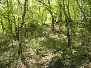 Продам земельный участок пгт.Ливадия